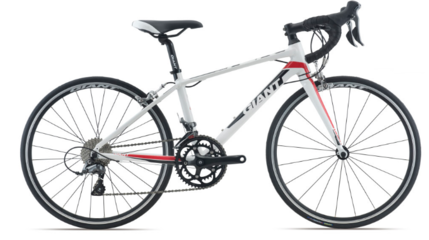 捷安特自行車加盟怎么樣